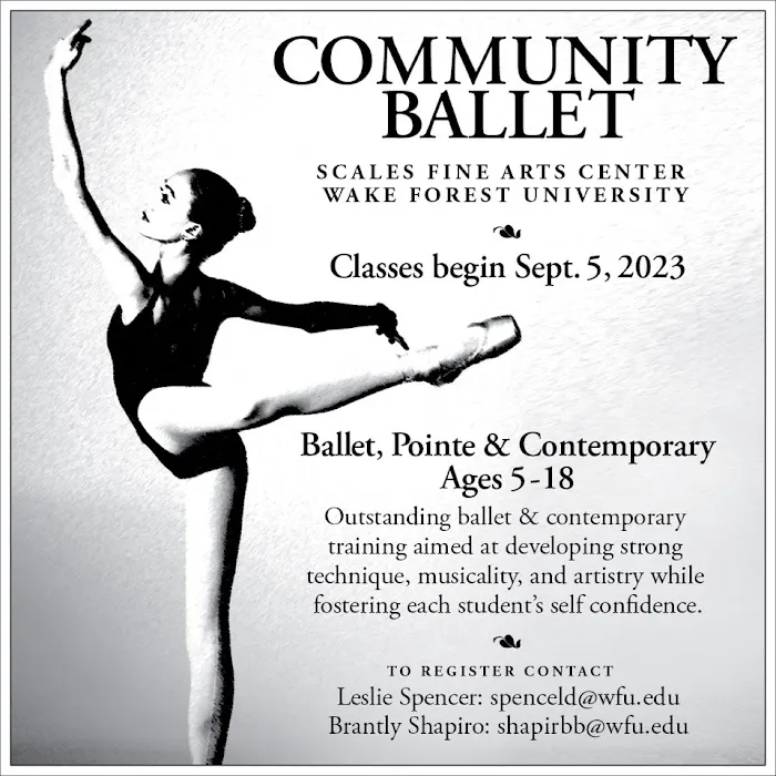 Community Ballet Picture 4