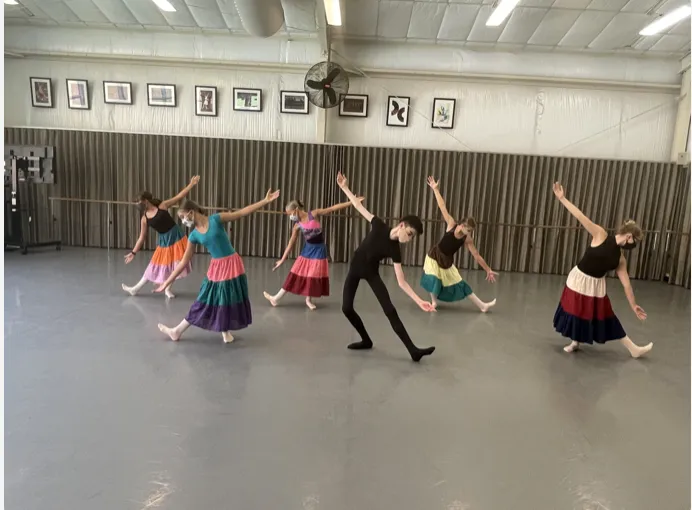 Community Ballet Picture 8