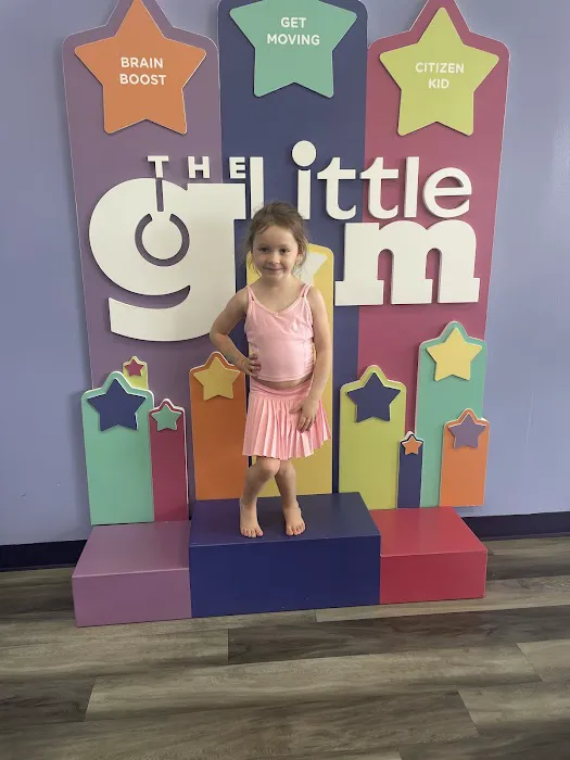 The Little Gym of Cary Picture 5