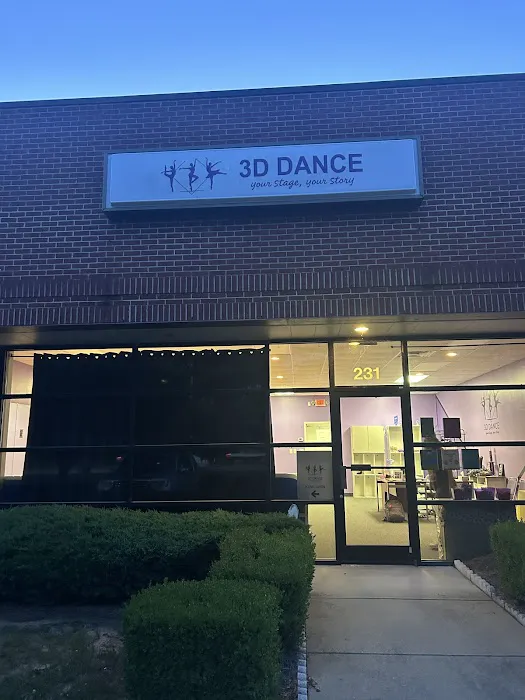 3D Dance Picture 2