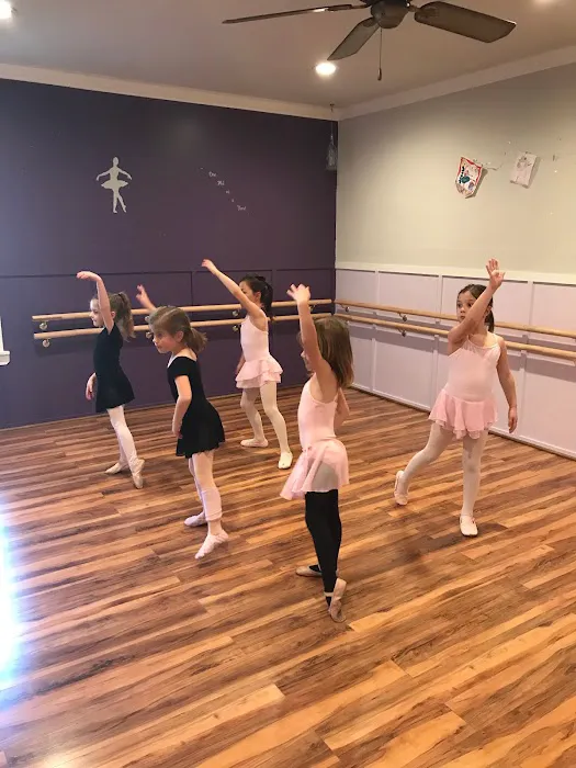 Bada Bling Ballet Picture 7