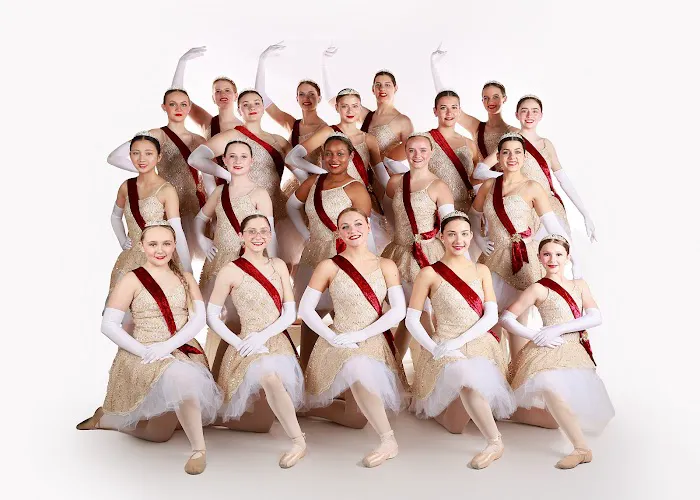 Destination Arts - Performing Arts Center Picture 4