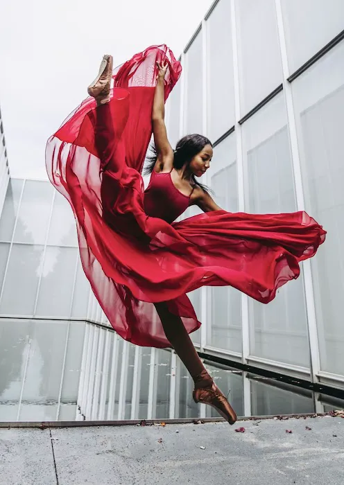 North Carolina Dance Institute Picture 5