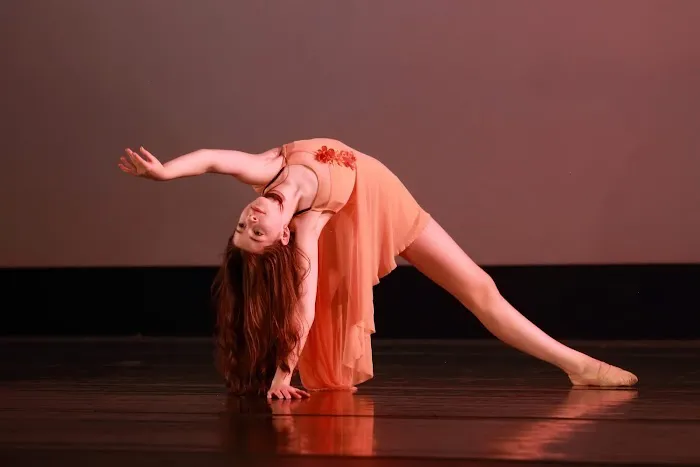 North Carolina Dance Institute Picture 4