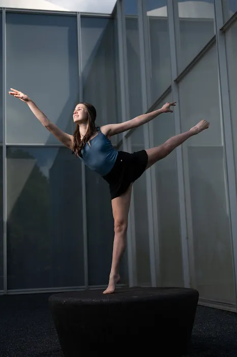 North Carolina Dance Institute Picture 6