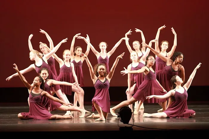 North Carolina Dance Institute Picture 7
