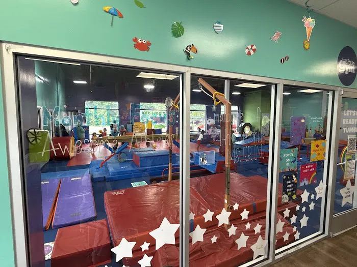 The Little Gym of North Raleigh/Wake Forest Picture 7