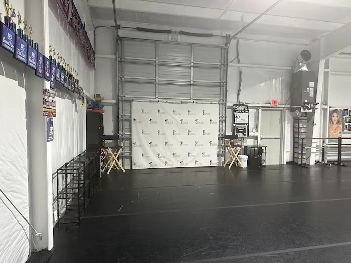 Premier School of Dance Picture 2