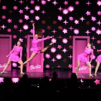 Palmetto Dance Starz ico