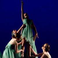 Field of Dreams Performing Arts ico