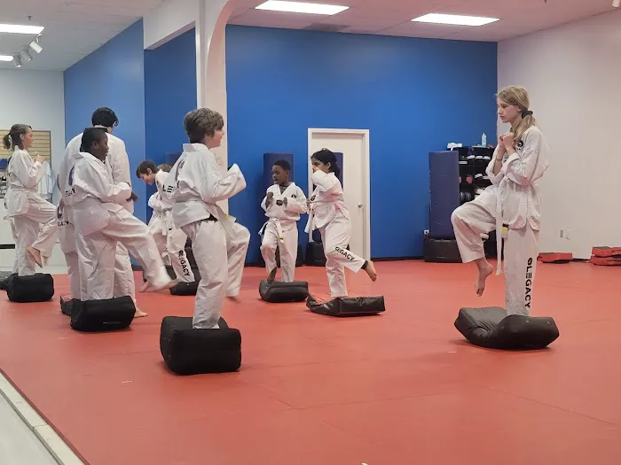 Legacy Martial Arts - Columbia Picture 1
