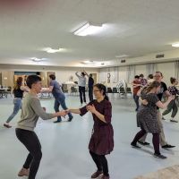 Palmetto Swing Dance Association ico