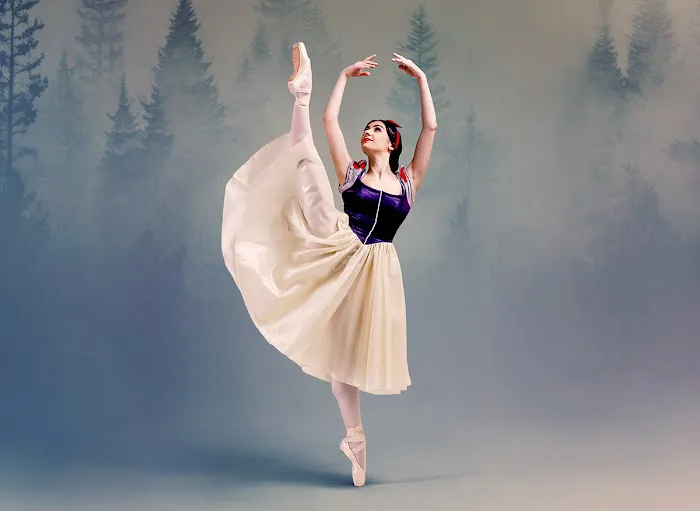 South Carolina Ballet Picture 3