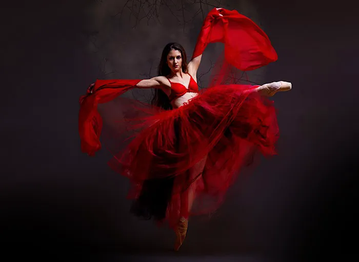 South Carolina Ballet Picture 8