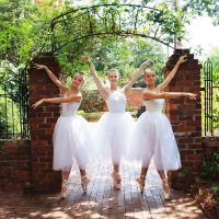South Carolina Summer Dance Conservatory ico