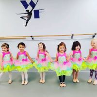 Wake Forest Academy of Fine Arts ico