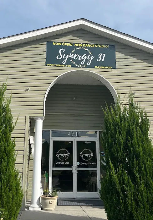 Synergy 31 Picture 1