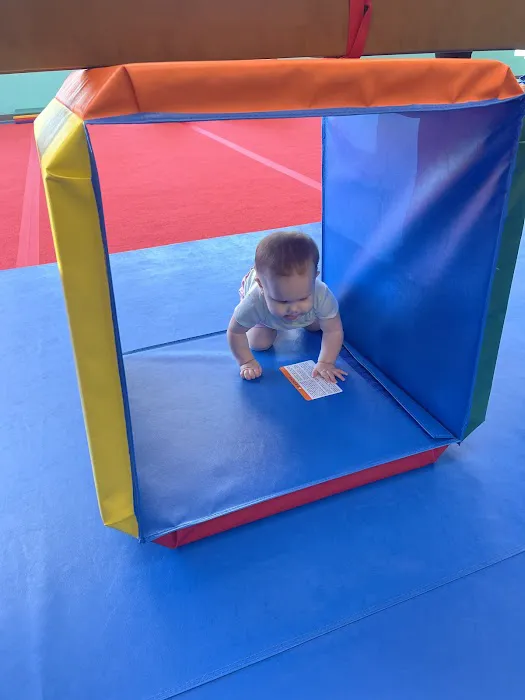 The Little Gym of Myrtle Beach Picture 8