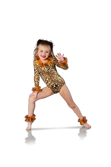 NXT LVL Dance Experience Picture 5