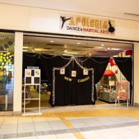 Apologia Dance & Martial Arts ico