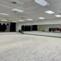 Alegria Dance Studio ico