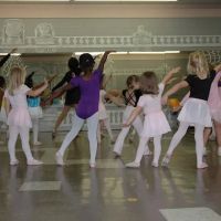 Fain School of Dance ico