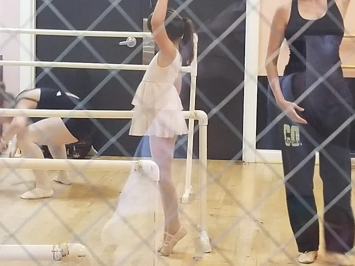 Steppin' Out Dance Studio Picture 4