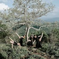 Absolute Arts Dance Company ico