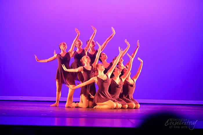 Wilmington Conservatory of Fine Arts Picture 1