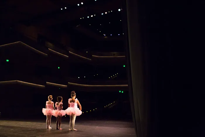 Wilmington Conservatory of Fine Arts Picture 6