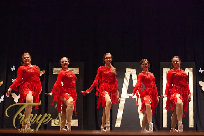 The Dance Studio Picture 8