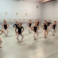 The Academy of Lexington Youth Ballet ico