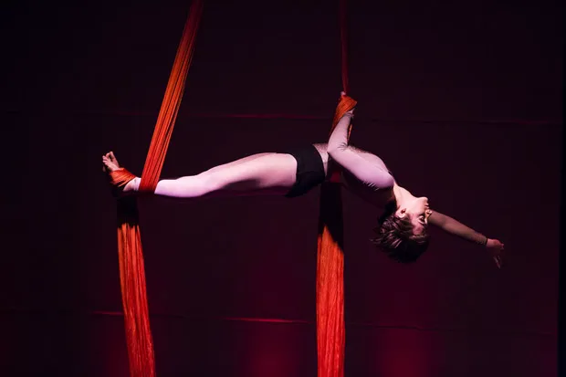 Night Owl Circus Arts North Picture 2