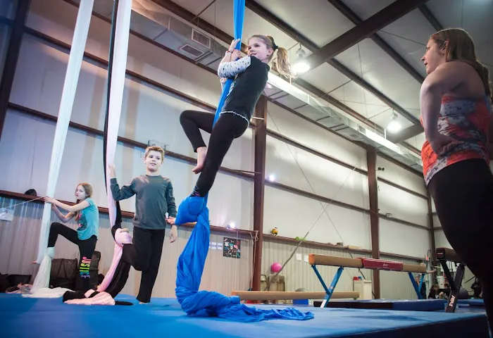 Night Owl Circus Arts North Picture 3