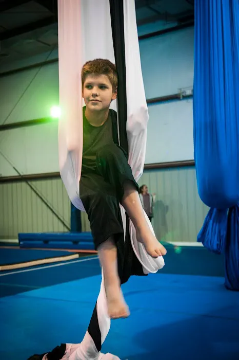 Night Owl Circus Arts North Picture 7