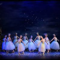 East Tennessee Ballet Academy ico