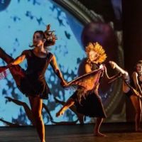 Alyona Amato Dance Studio ico