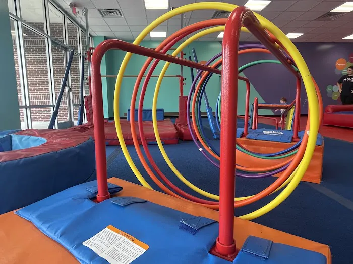 The Little Gym of Wilmington, NC Picture 2