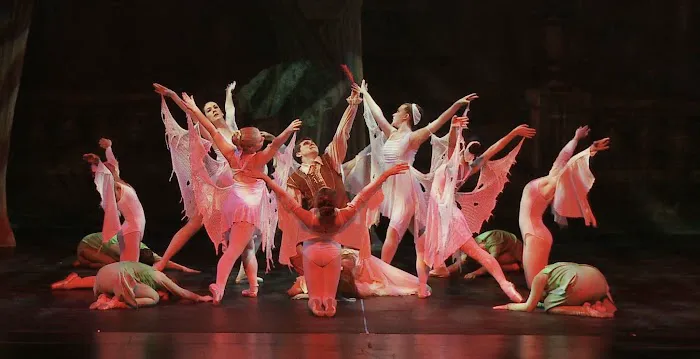 City Ballet of Wilmington Picture 3