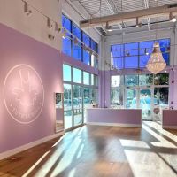 Tutu School Wilmington ico