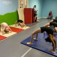 Palmetto Dance Academy ico
