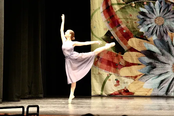 Palmetto Dance Academy Picture 2