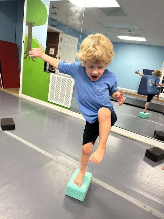 Palmetto Dance Academy Picture 6