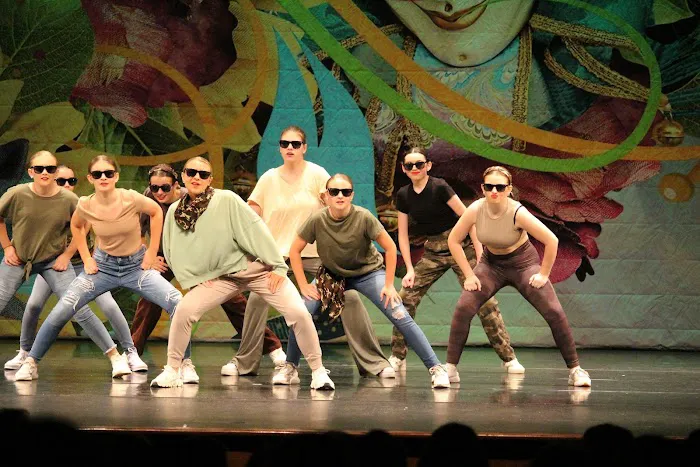 Palmetto Dance Academy Picture 5