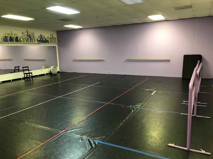 The Dance and Tumble Company Picture 2
