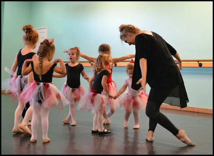 The Dance Element Picture 2