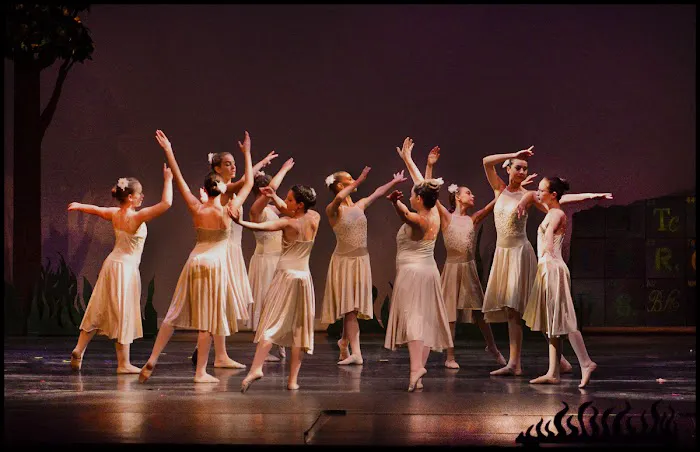 The Dance Element Picture 3