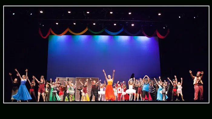 The Dance Element Picture 1
