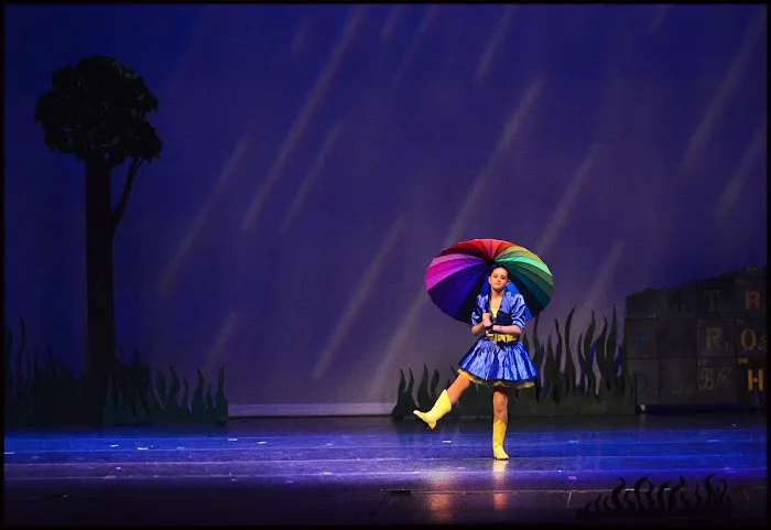 The Dance Element Picture 9