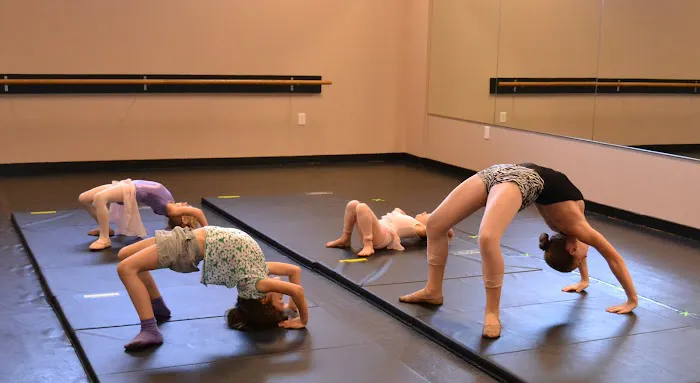 The Dance Element Picture 10
